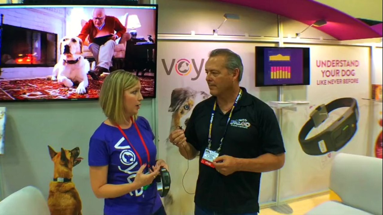 Falco K9 at Super Zoo with "Doggy Dental Aid"