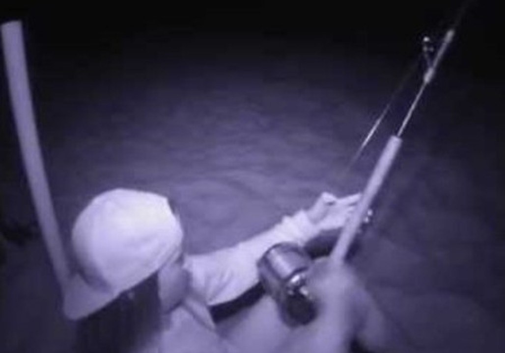 Huge Shark Caught Off Florida Beach