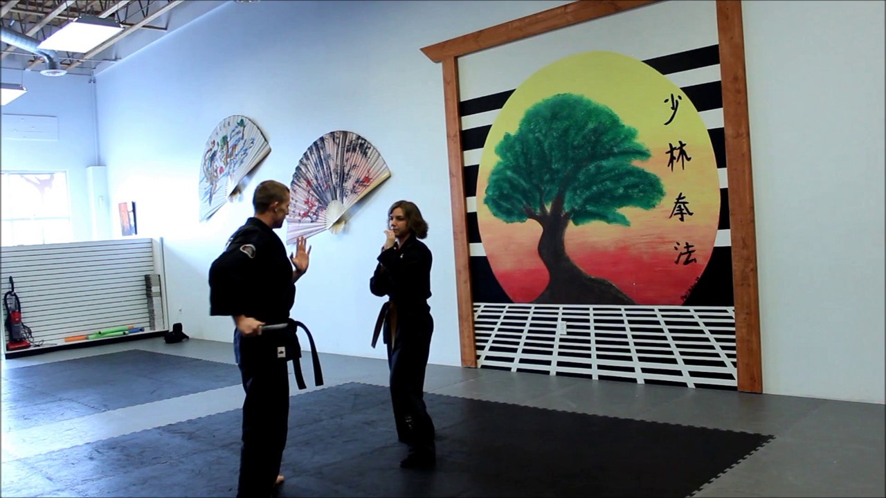 Womens Self Defense Saratoga Springs Utah Karate 801.766.6760