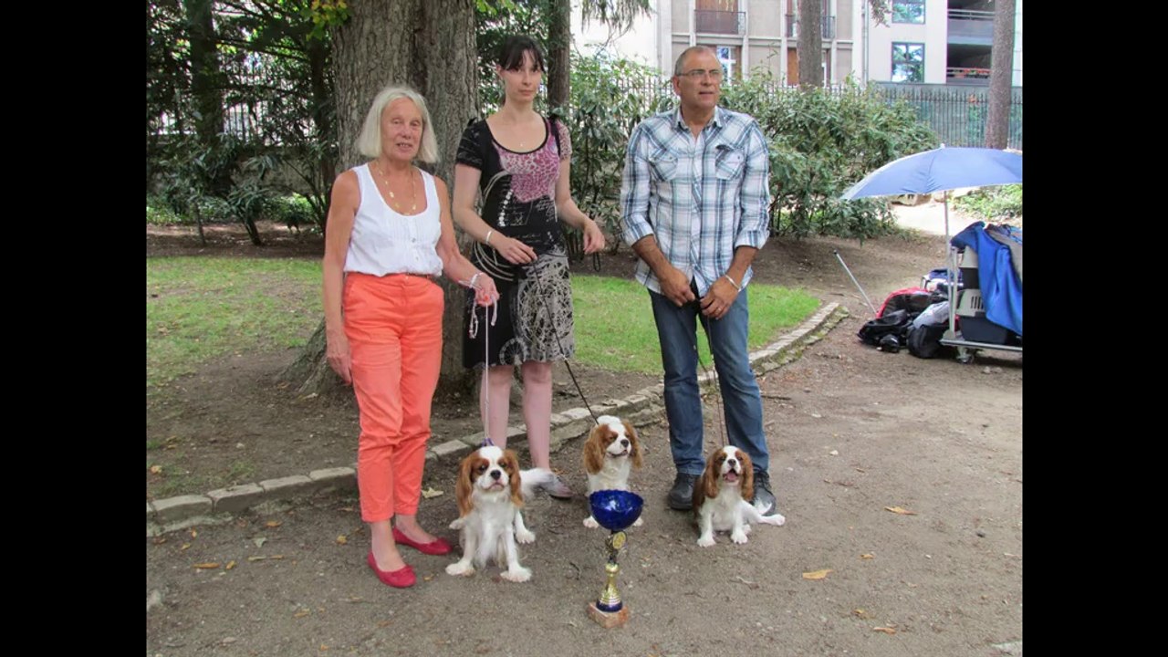 video puy en velay classe elevage