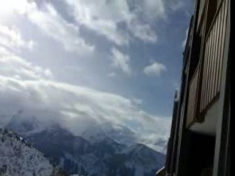 Petit oiseau