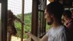 Monkey casually asks for a bite to eat
