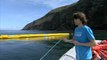 Teenager's plan to eliminate 7M tons of plastic from ocean