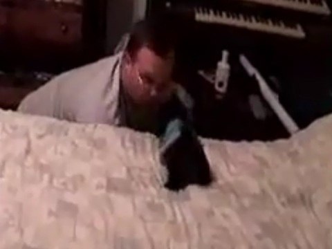 Playfighting puppy is the cutest thing you'll see all day