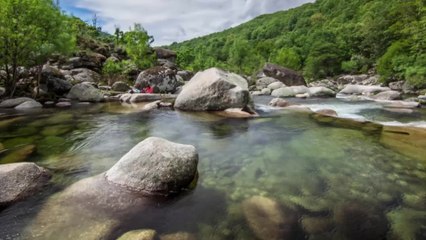 Gorgeous timelapse showing the beauty of nature