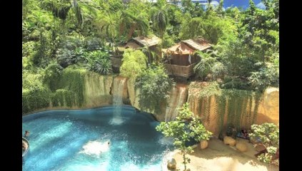 Dramatic Dogs - Stop What You're Doing.