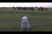 Serenading the cattle with my trombone!!