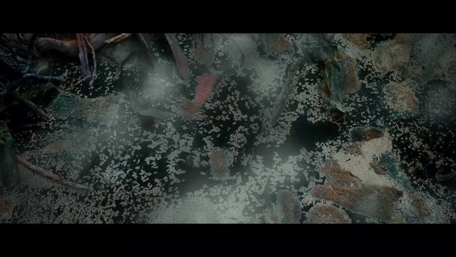 VIDÉO - The Hobbit, la désolation de Smaug : une scène coupée dévoilée