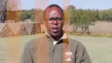 Ukutula Lodge - Animal Anti-Cruelty Statement