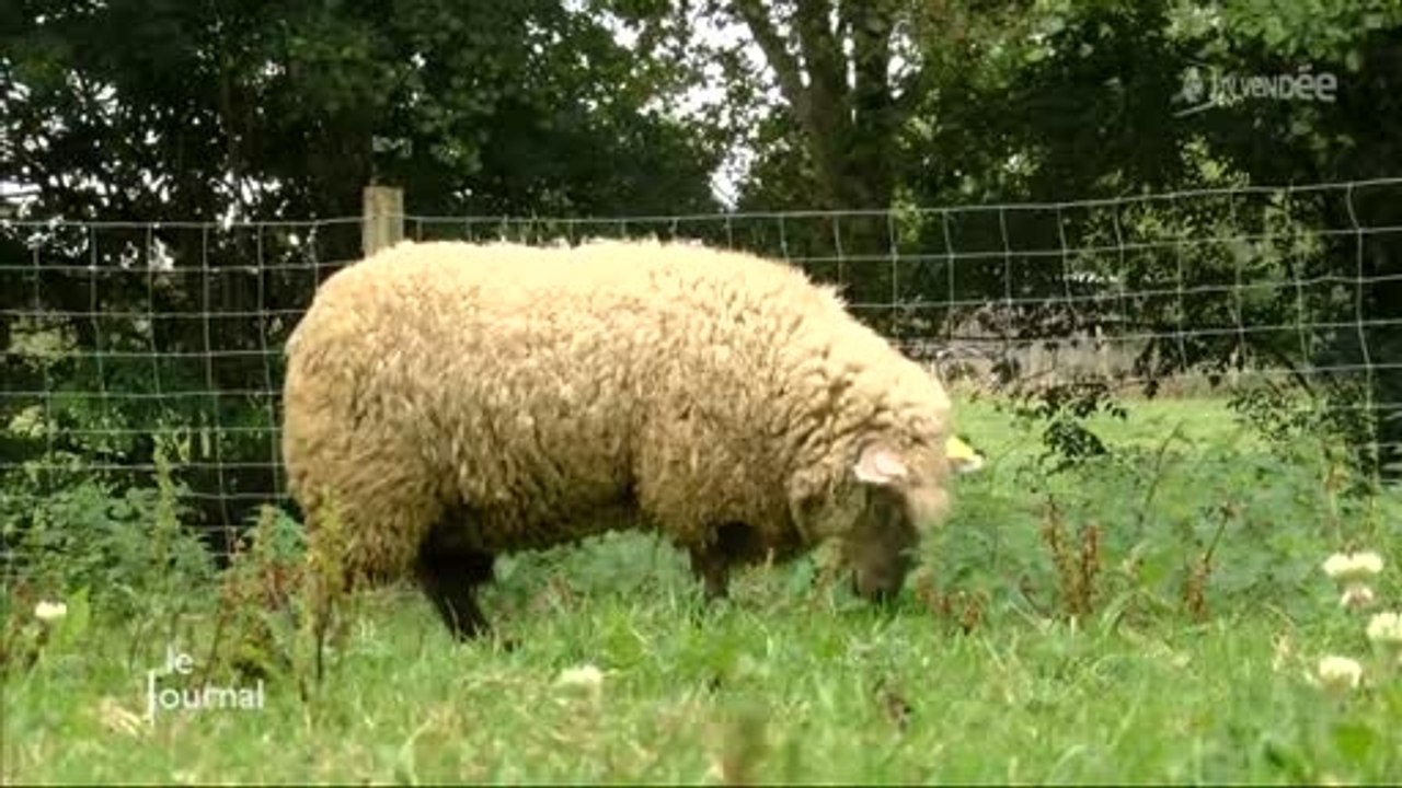 Vacances : Le camping à la ferme de La Maison Neuve