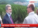 Eski Kömür Sahaları Doğaya Kazandırıldı