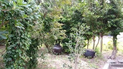 Old Japan Farm House - Water Tank Project
