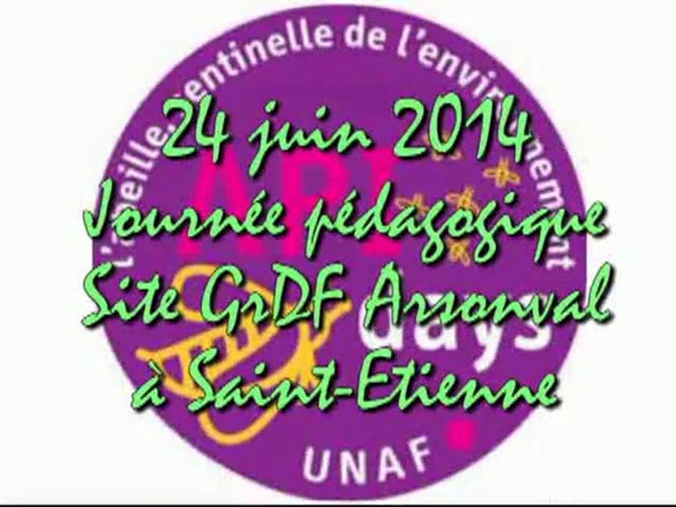 Une journée pédagogique à Saint-Etienne pour préserver les abeilles...