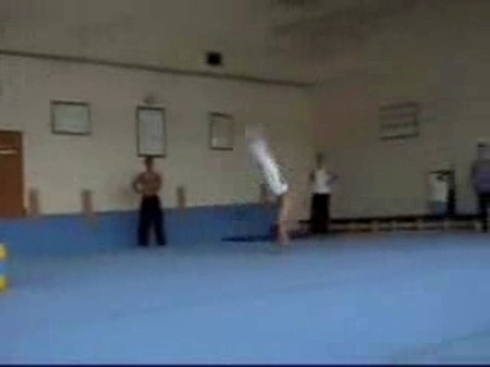Capoeira clip from different countries