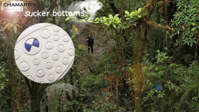 Chamaripa mark style shoes to make you look taller