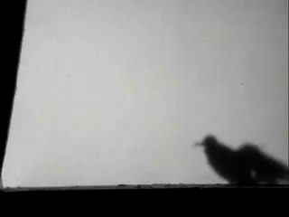 NOTURNO (Curta-metragem)