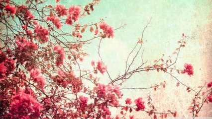 How to insert new page to PDF with A-PDF Page Master