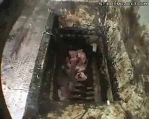 Ground beef, هكذا يصنعون اللحوم المفرومة فى الغرب