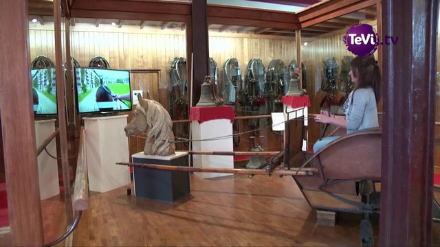 Le simulateur du haras de Saint-Lô [TéVi] 14_08_06