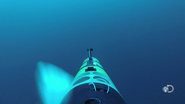 White Shark Cam - new camera system to capture awesome footage!