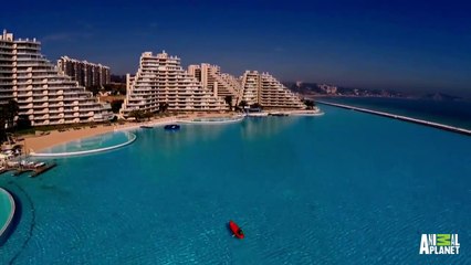 La plus grande piscine au monde - The Pool Master