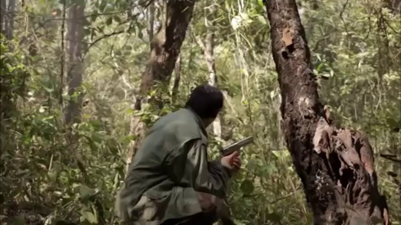 White Tiger Trailer (Don Wilson, Cynthia Rothrock, Matt Mullins)