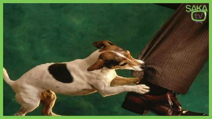 Arkadaşa Sıra Dışı Şaka