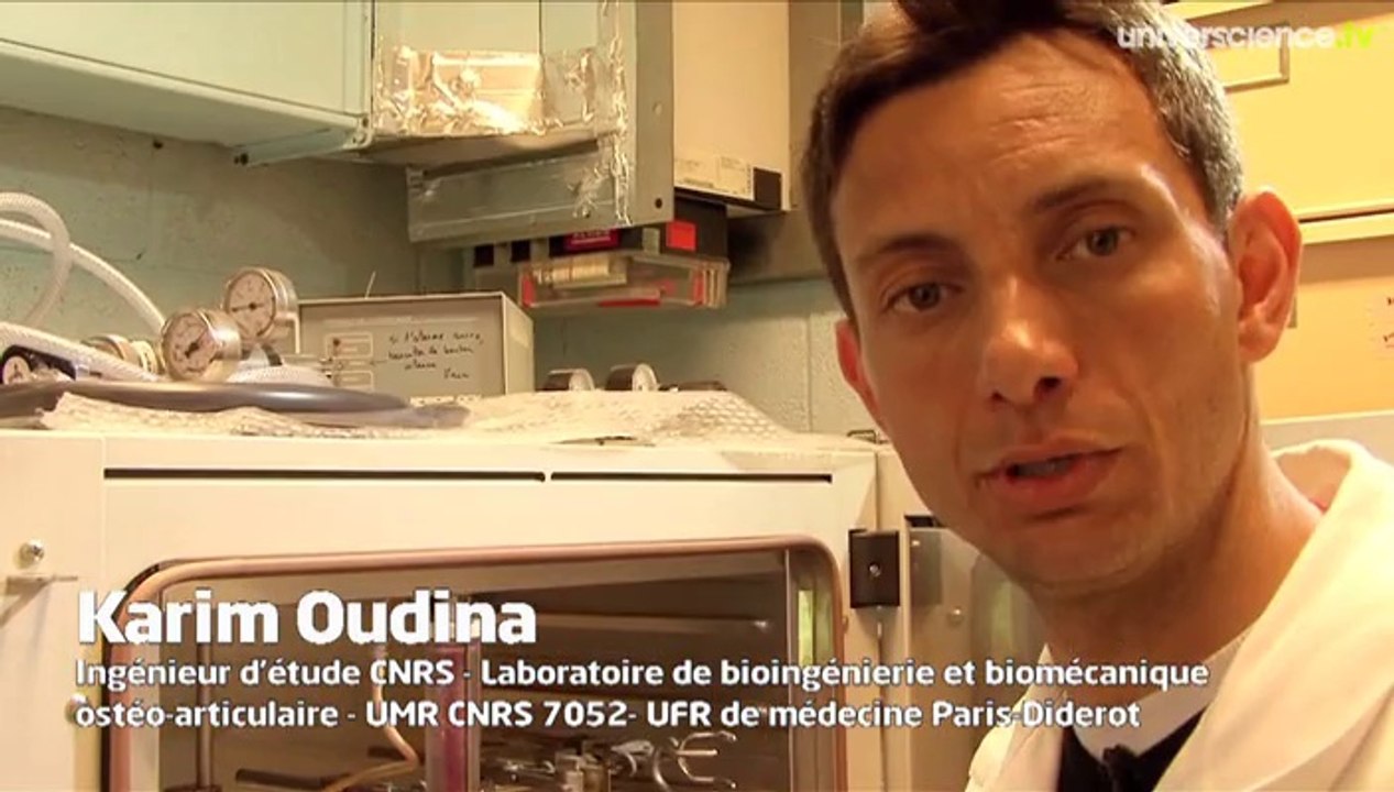 Les os de synthèse