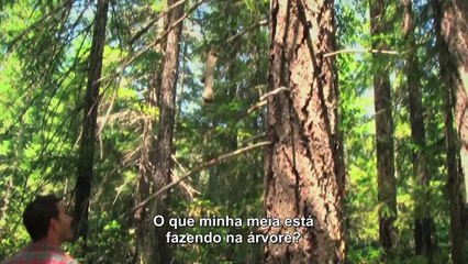 Willow Creek Official Trailer 1 (2013) - Horror Movie HD