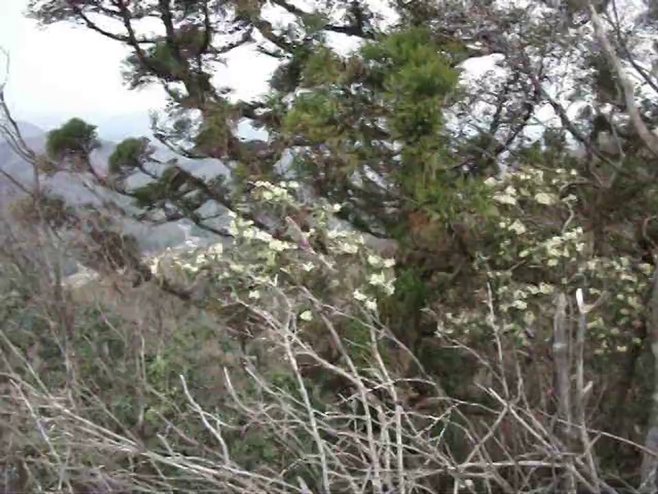 多紀連山