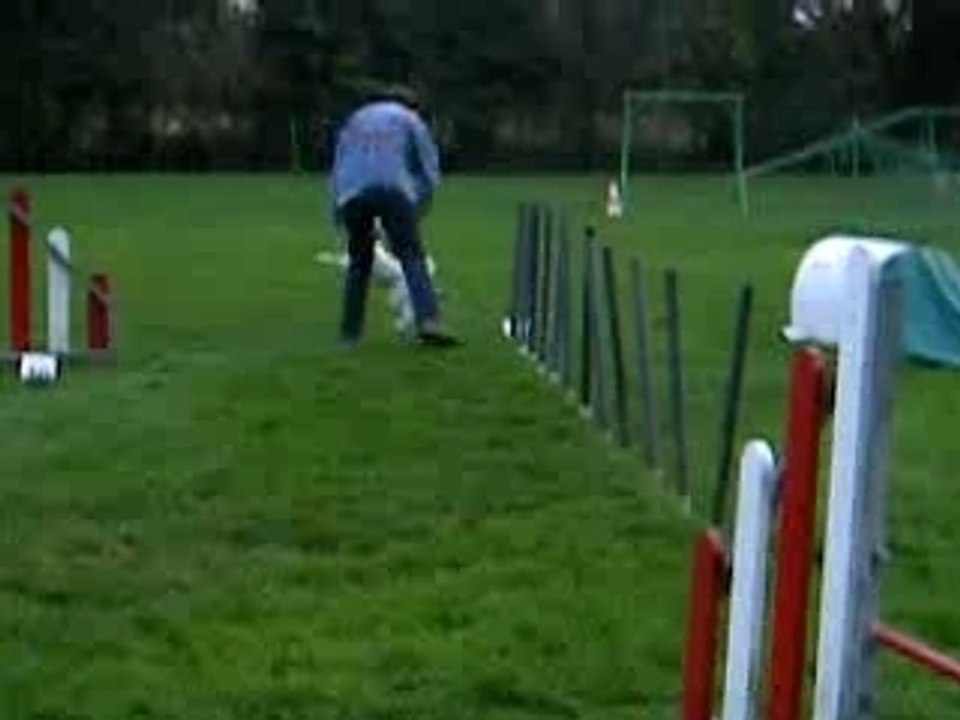Agility fred-virgul