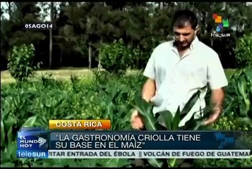 Costa Rica declara al maíz como patrimonio cultural de la nación