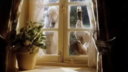 Babe Official Trailer #1 - Miriam Margolyes Movie (1995) HD