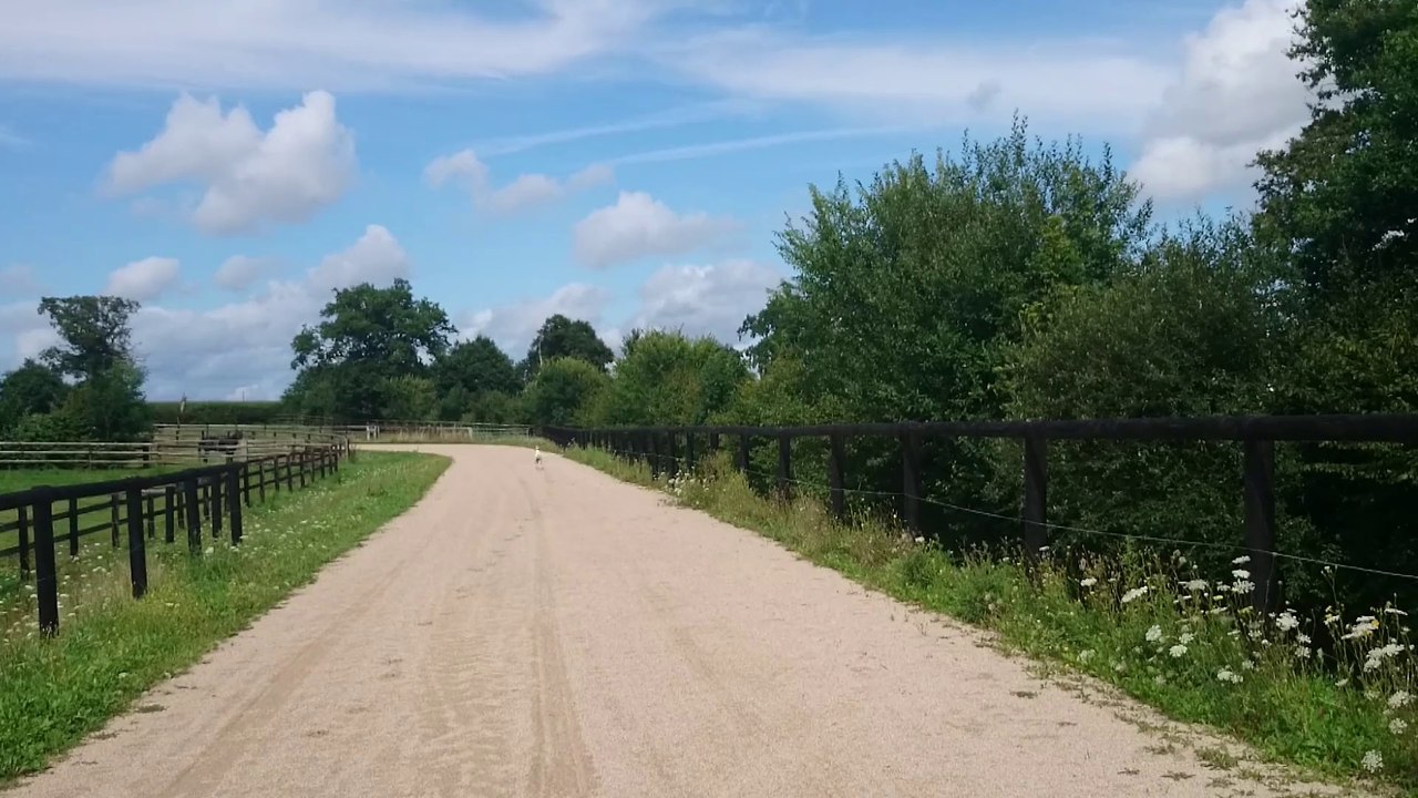 Hermine découvre une piste en sable !