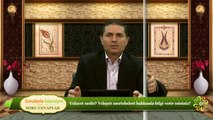 Velayet nedir? Velayet mertebeleri hakkında bilgi verir misiniz?