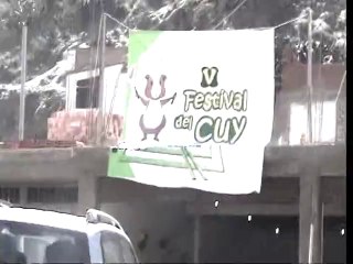 FESTIVAL DEL CUY EN AYARPONGO