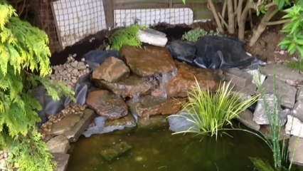 How to build a natural looking fish pond.