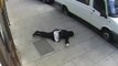بريطاني يضرب إمرأة محجبة في الشارع -