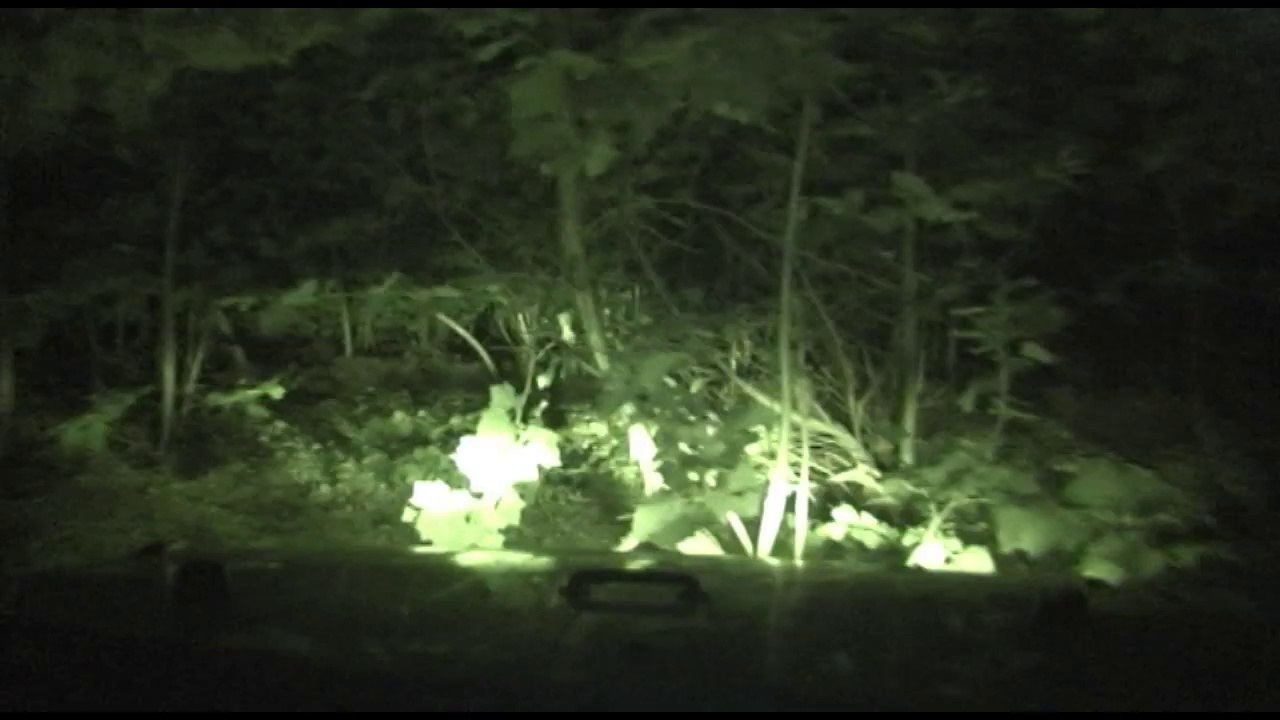 Jeep 4 Wheeling - scouting for new locations.