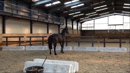Braskho des Edènes entrainement avril 2014