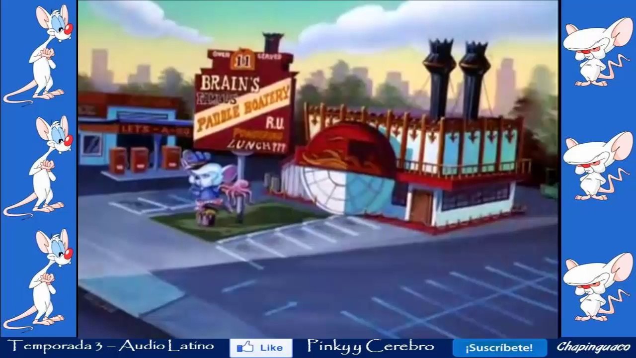 Pinky y Cerebro Capitulo 55