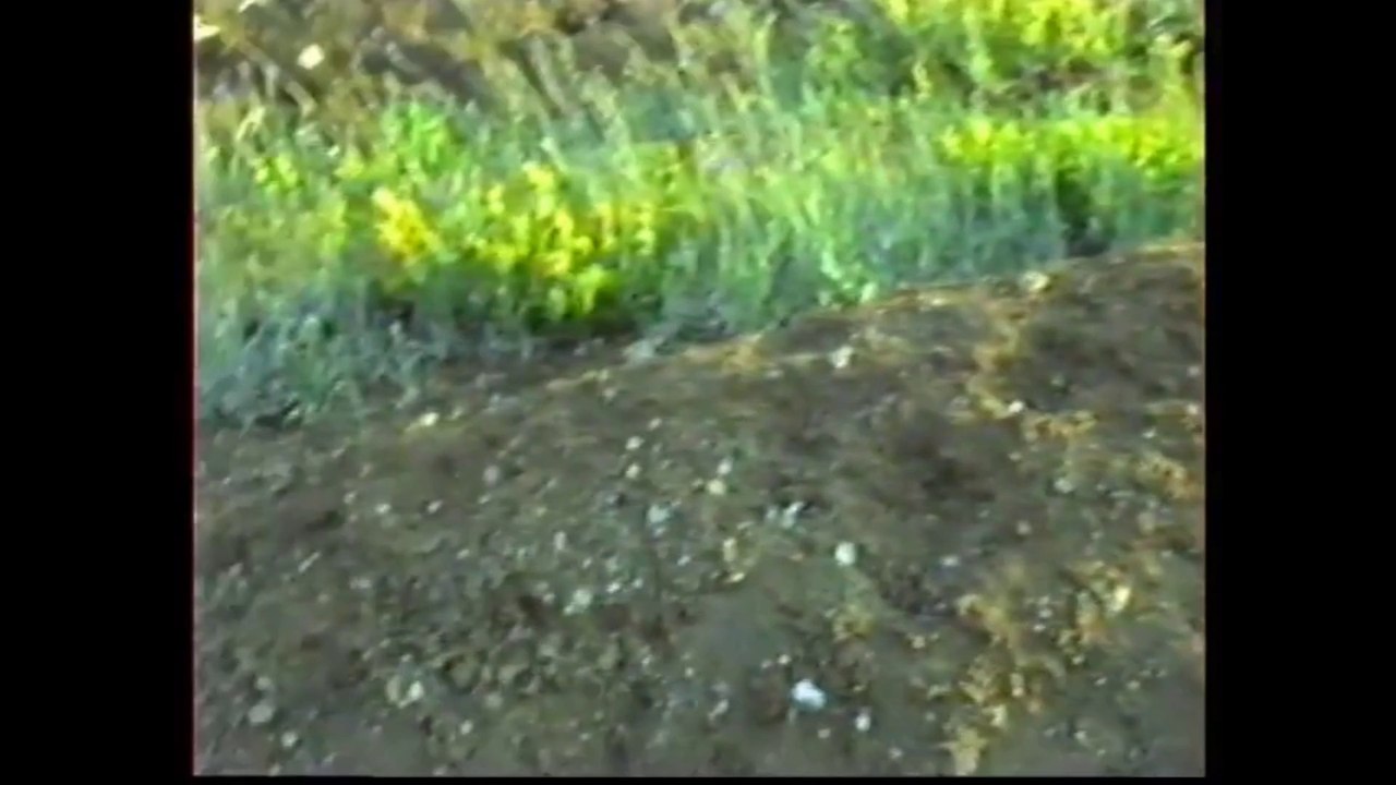 YALAN  DÜNYA.(ÜZENGİLİKKÖYÜ)