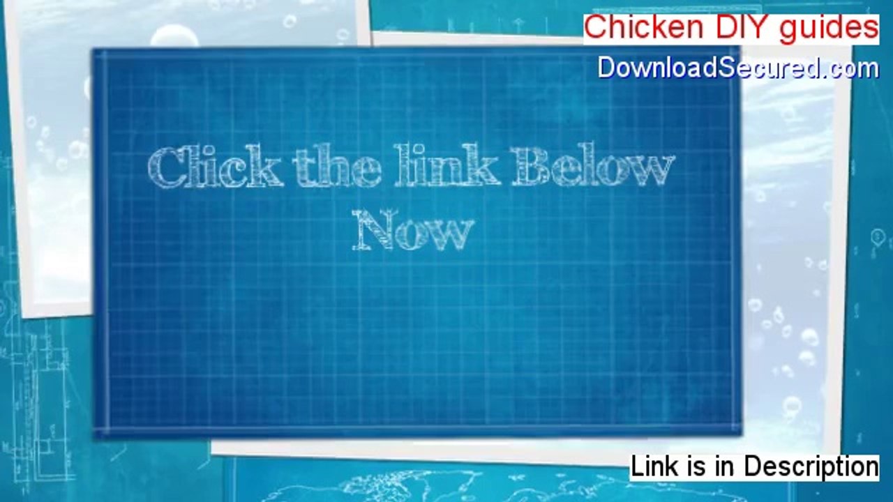 Chicken DIY guides Review (Watch this)