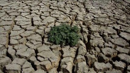 Sequía amenaza costa Caribe colombiana