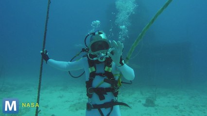 Astronauts Test Google Glass in Extreme Environment Training