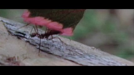 Estação Liberdade - Trailer Oficial