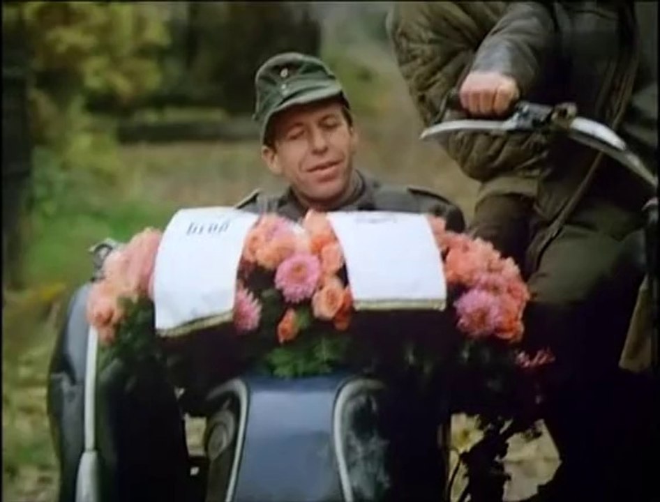 Gruppenbild mit Dame 1977