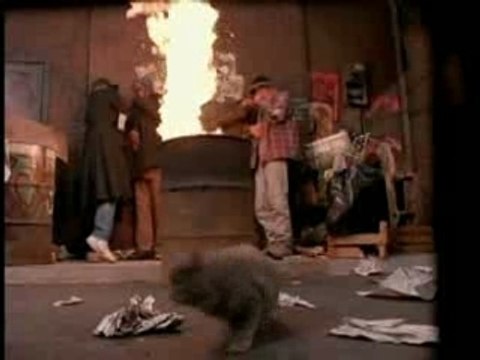 Friends - Phoebe Buffay - Smelly Cat