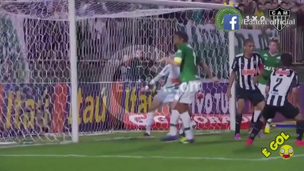 Chapecoense-SC	1-1	Atletico-MG بتاريخ 07/08/2014 - 01:00