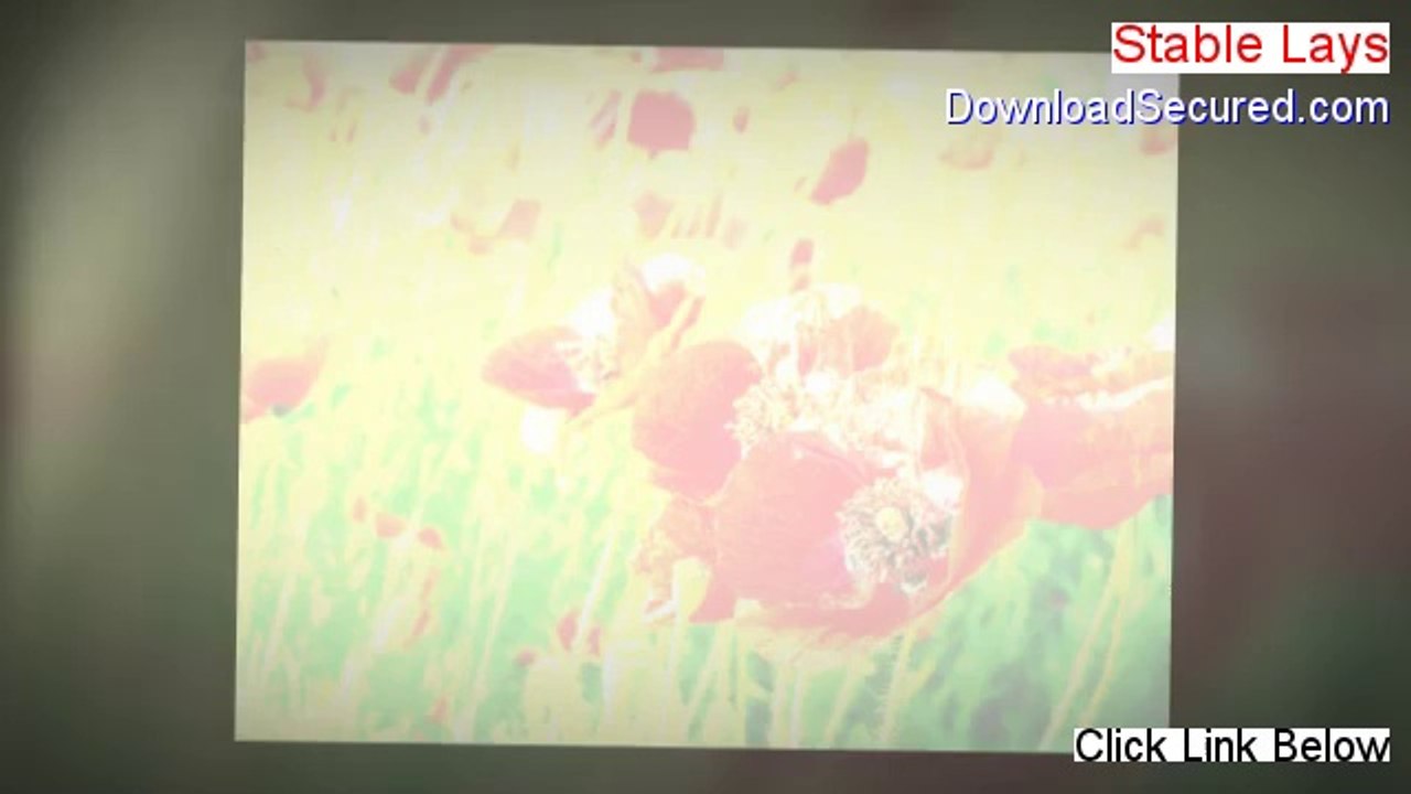 Stable Lays PDF Free (harry lewis stable lays 2014)